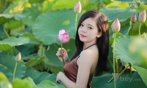 Cách dùng 5 loài hoa quen thuộc giúp da sáng mịn