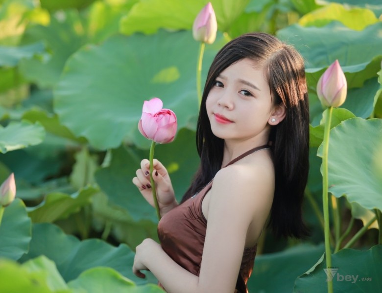 Cách dùng 5 loài hoa quen thuộc giúp da sáng mịn