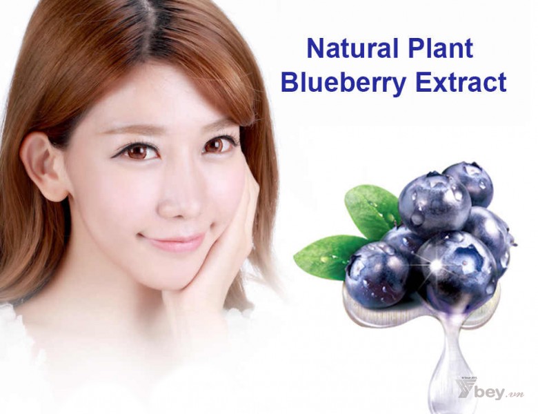 Bất ngờ với công dụng làm trắng da siêu hiệu quả của quả Việt Quất Xanh (Blueberry)